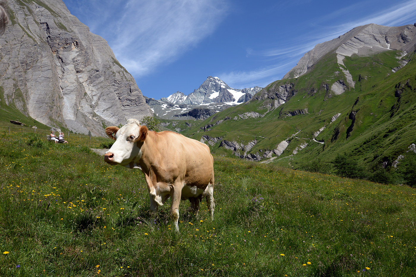  Grossglockner's guard